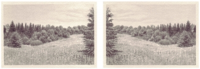 HEIMATLAND VI, 2-teilig, Graphit auf Papier, je 10 x 14,5 cm, 2012